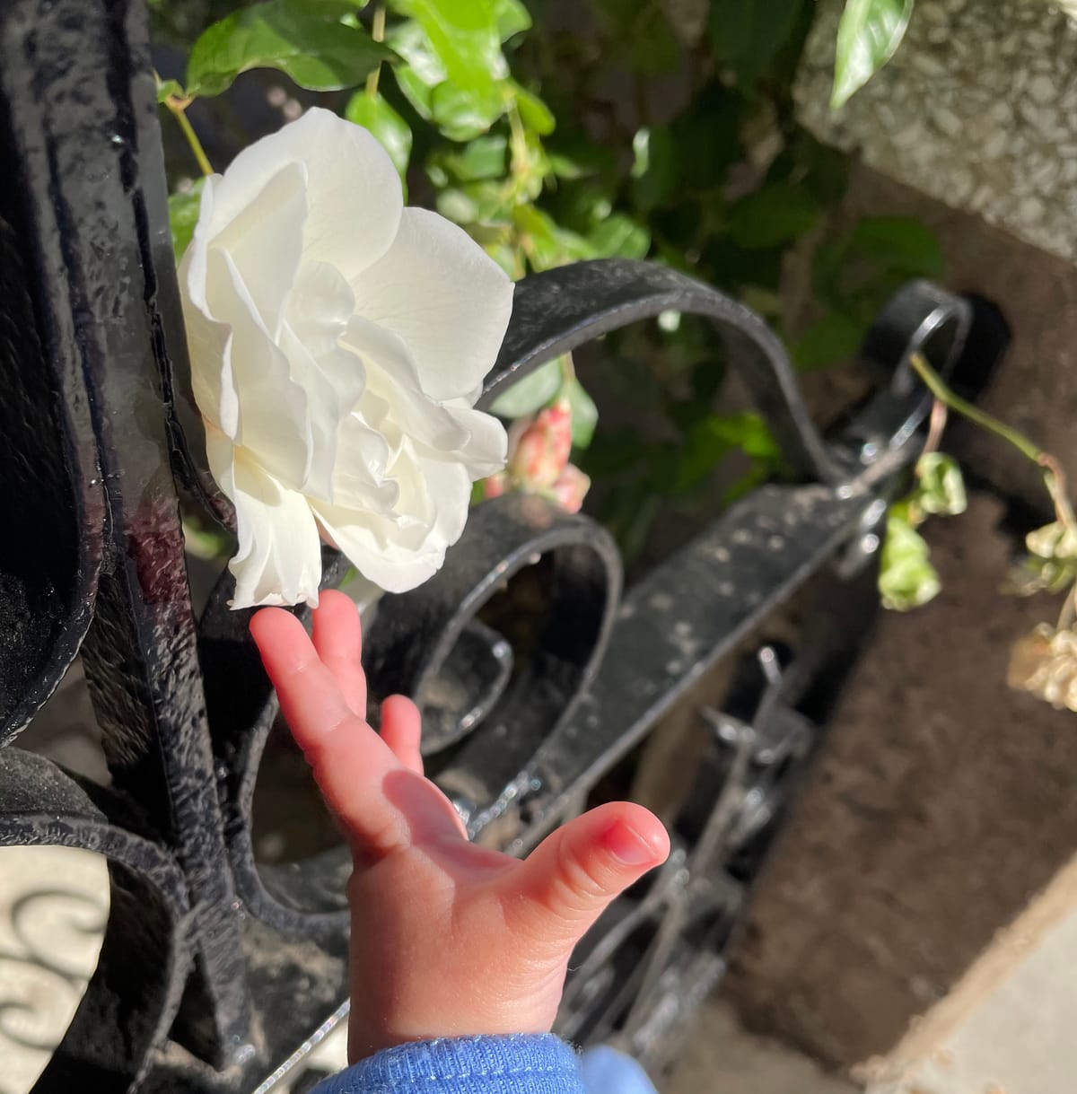 The right to live your life